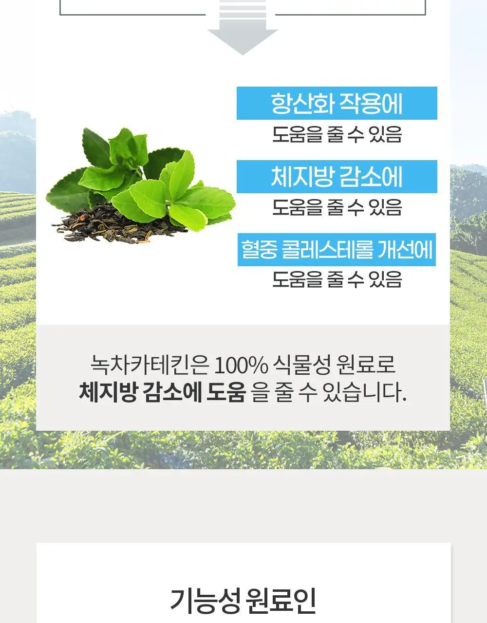 [체지방감소/혈행개선] 그린몬스터 다이어트 스페셜4 하비탈출 14포 (2주분) 상세페이지 13